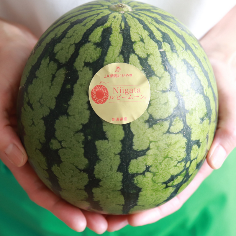 Niigata Ruby Moon Mini Watermelon 新潟紅月小玉西瓜