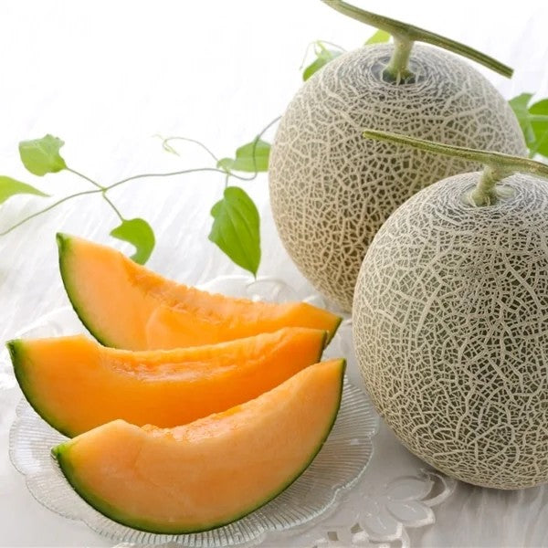 Hokkaido Raiden Melon 北海道雷電蜜瓜