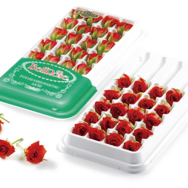 Japanese Bell Rose 迷你食用玫瑰