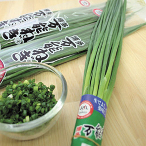 Hakata Banno Green Onion – Fukuya Foods