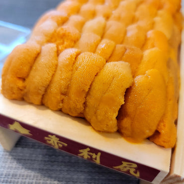 Ichikawa Akarishiri Premium Bafun Uni 市川赤利尻頂級馬糞海膽