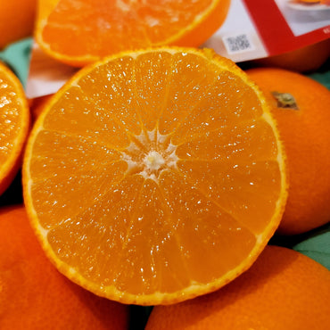 Red Madonna Mikan 愛媛果紅麥當娜