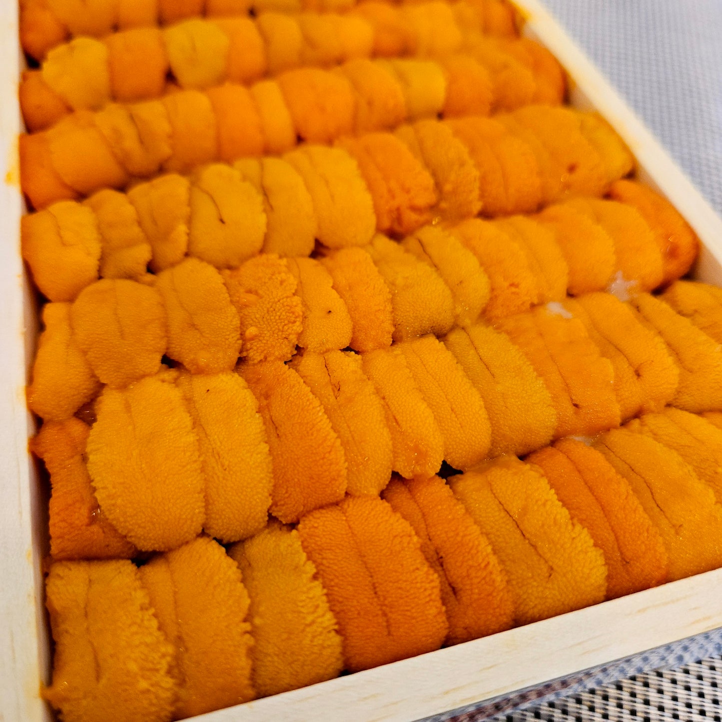 Hokkaido Bafun Uni  北海道馬糞海膽