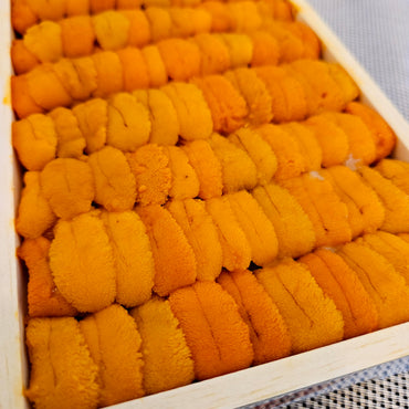Hokkaido Bafun Uni 北海道馬糞海膽