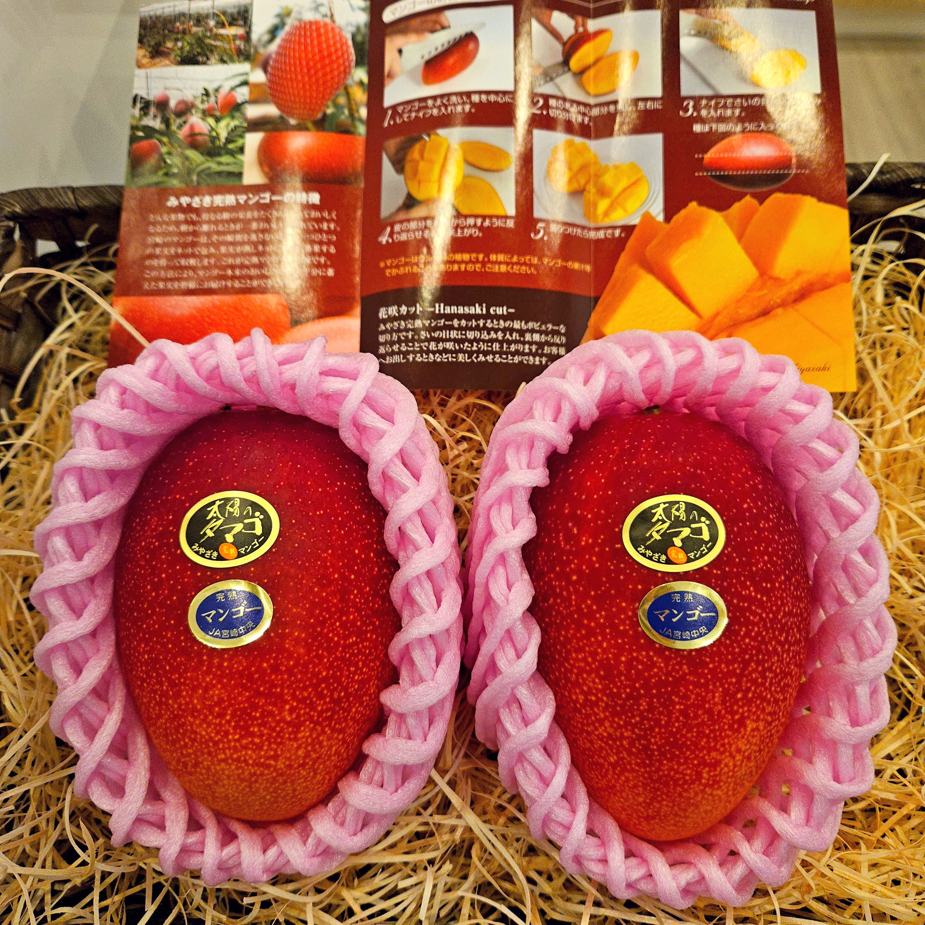 Miyazaki Mango "Egg of the Sun" 宮崎縣產完熟芒果「太陽之子」