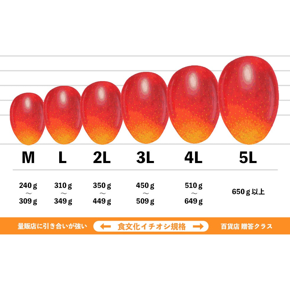 Miyazaki Kanjuku Mango 宮崎縣產完熟芒果