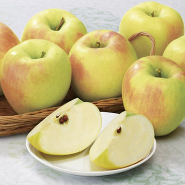 Gunma Meigetsu Apple 群馬名月 (Available late November)