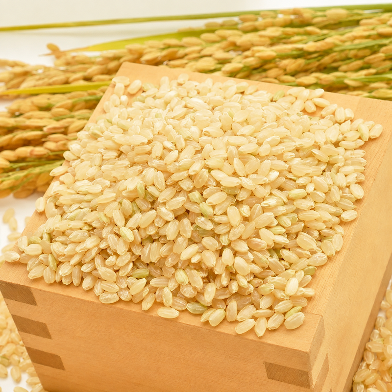 Nagano Koyanagi Koshihikari Brown Rice 2kg