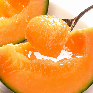 Hokkaido Yubari Melon 北海道夕張蜜瓜