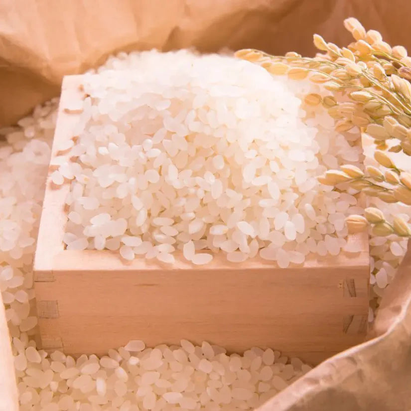 Nagano Koyanagi Koshihikari Rice 2kg