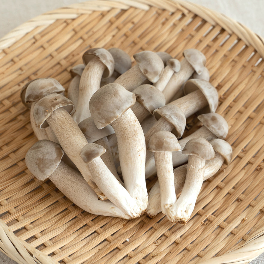 Tanba Shimeji Mushrooms 新鮮丹波菇