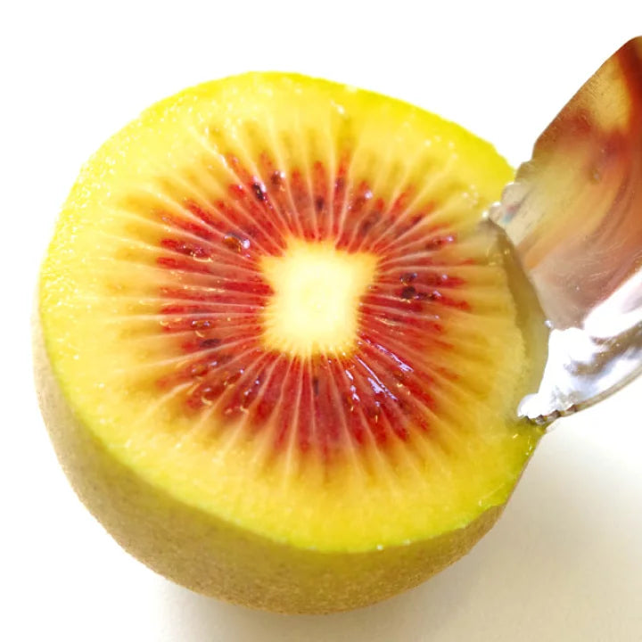 Rainbow Red Kiwi Fruit 日本彩虹奇異果