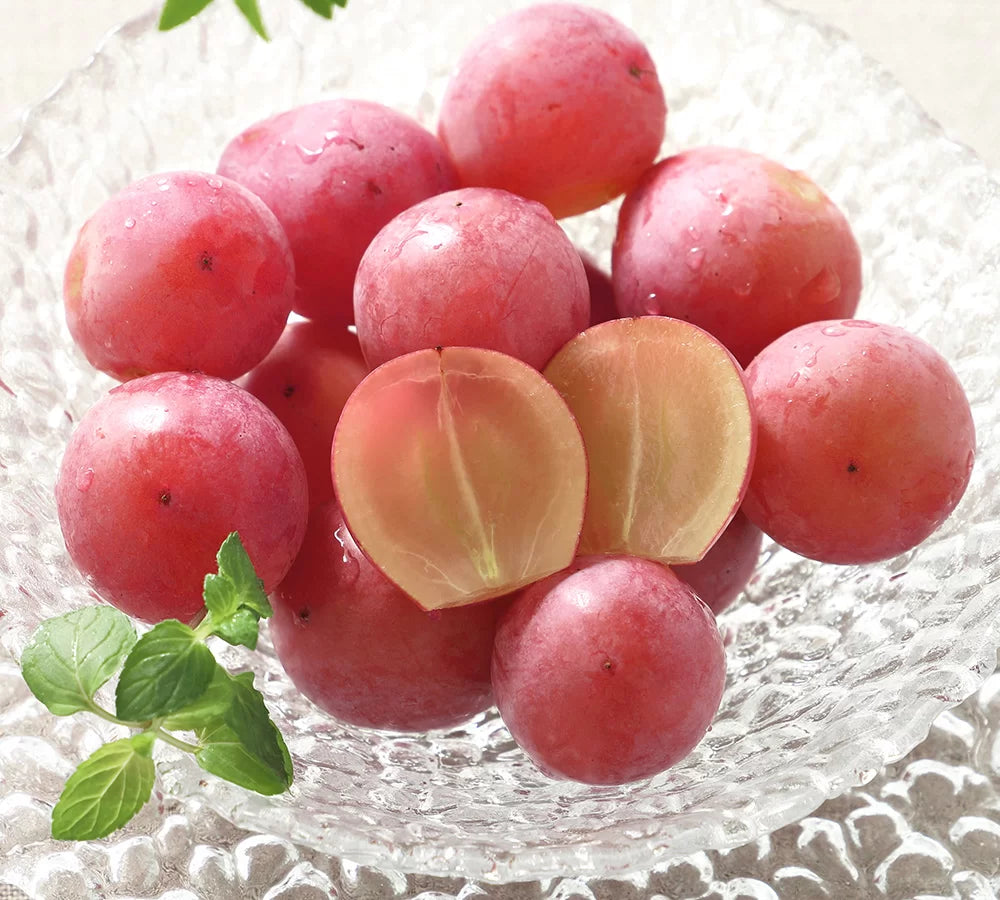 Syukaen Queen Nina Grapes 秀果園妮娜皇后葡萄