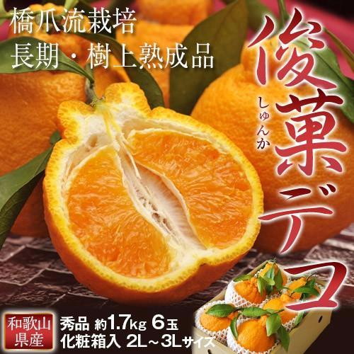 Wakayama "Shunka" Dekopon Citrus 和歌山 "俊果" 不知火柑橘