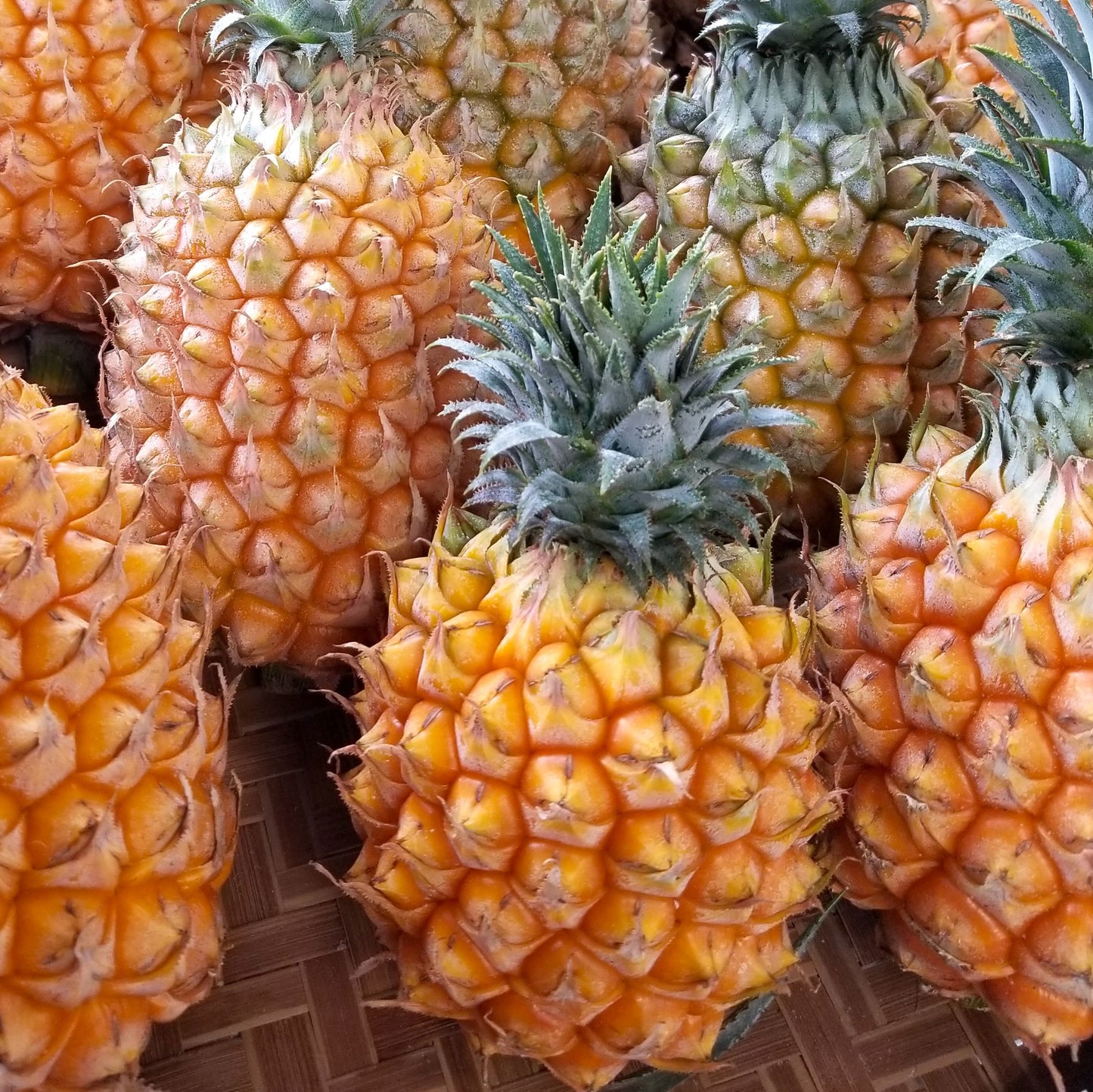 Okinawa Snack Pineapple 沖繩手撕菠蘿