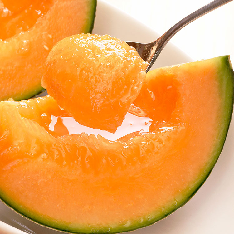 Hokkaido Raiden Melon 北海道雷電蜜瓜
