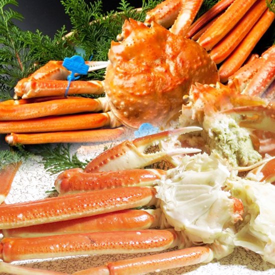 Japan Snow Crab Matsuba Gani 日本新鮮松葉蟹