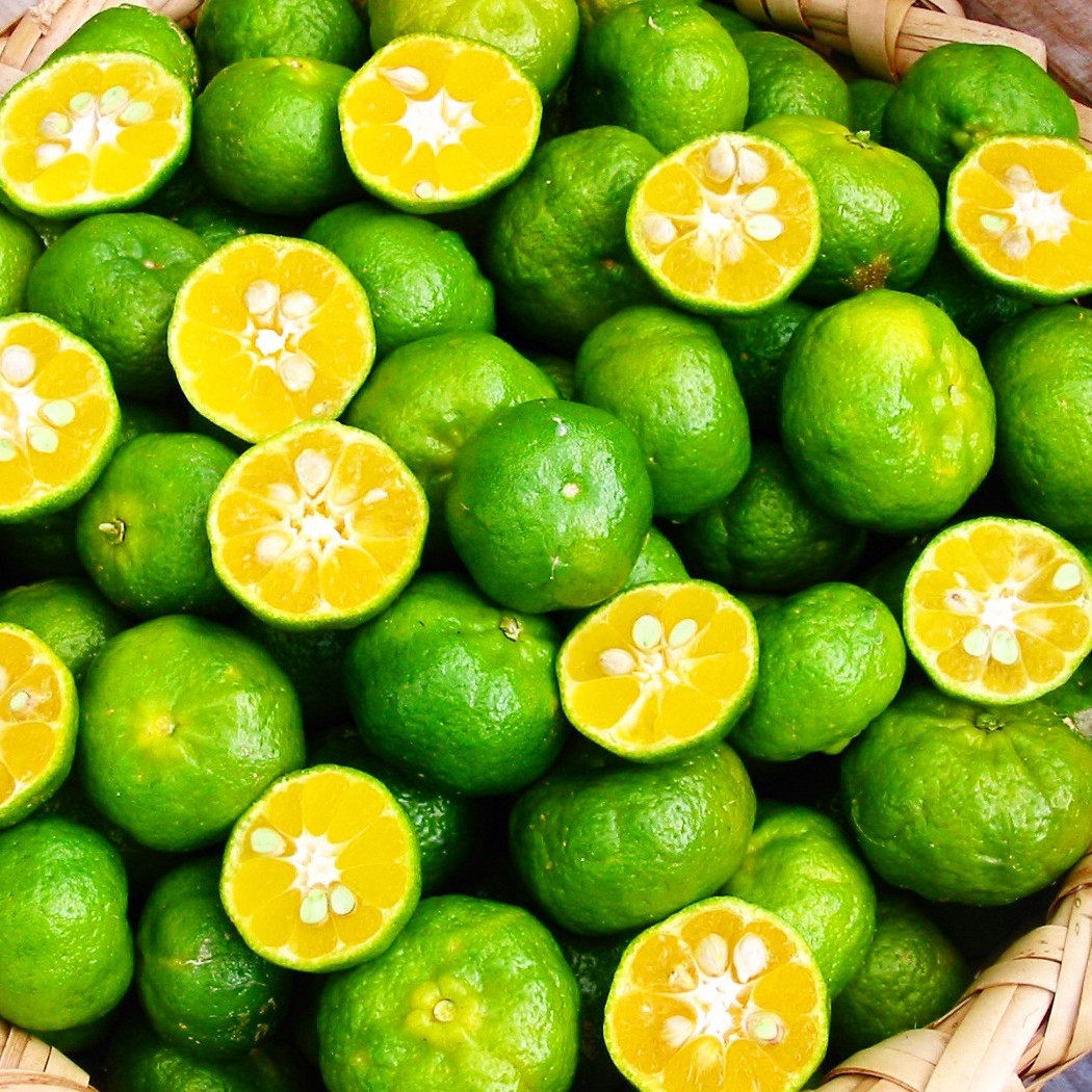 Okinawa Shikuwasa Limes 沖縄特產香檬