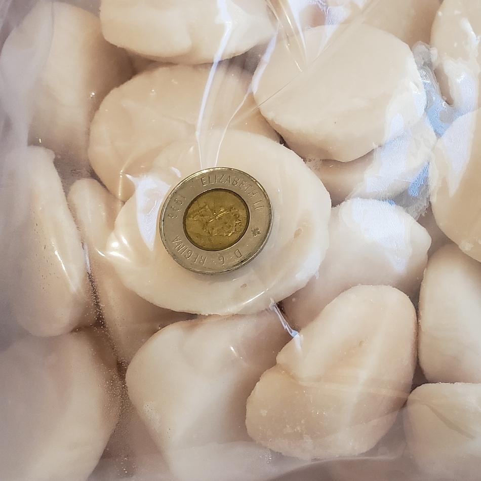 Premium Frozen Hokkaido Scallops 急凍北海道刺生級元貝