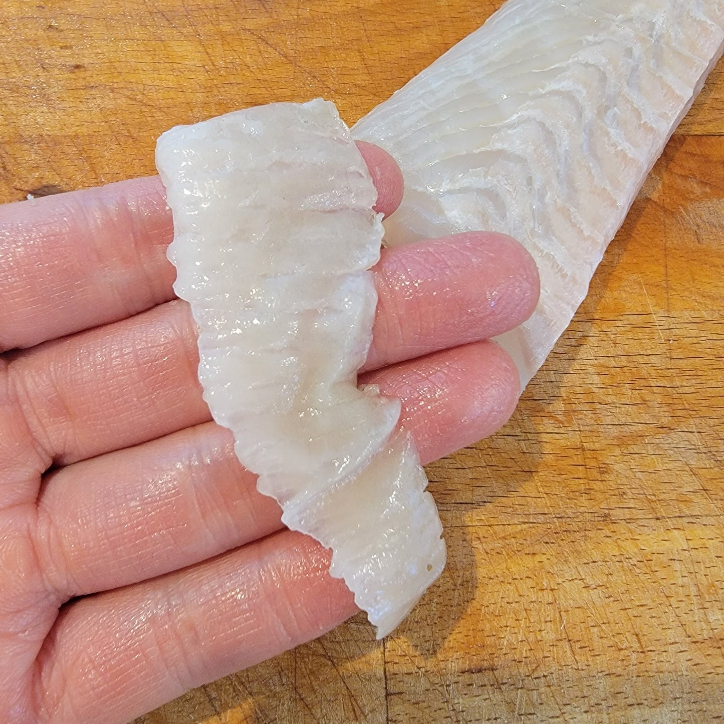 Olive Flounder (Hirame) Loin (half-side) 日本新鮮平目魚刺身