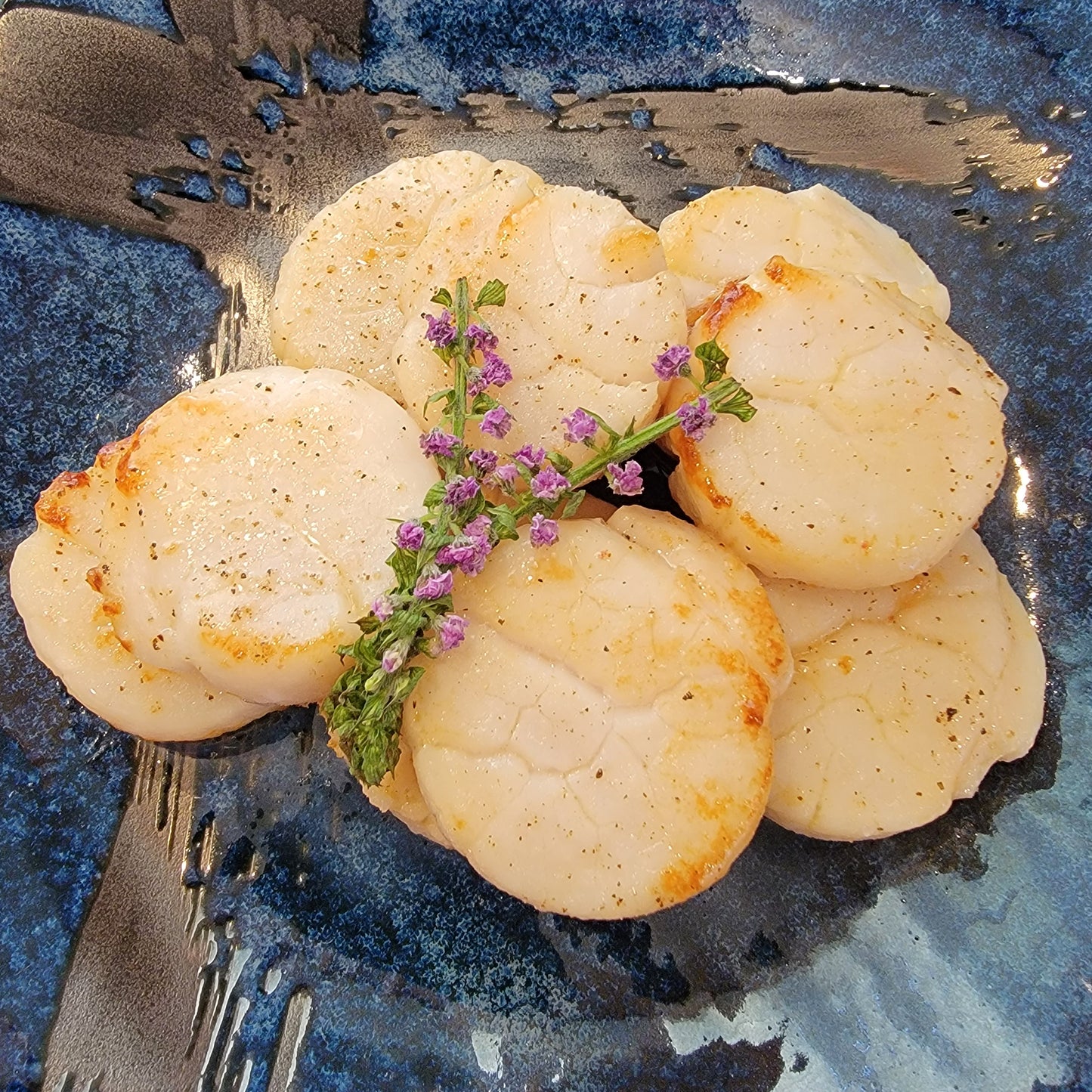 Fresh Hokkaido Scallops 北海道新鮮元貝