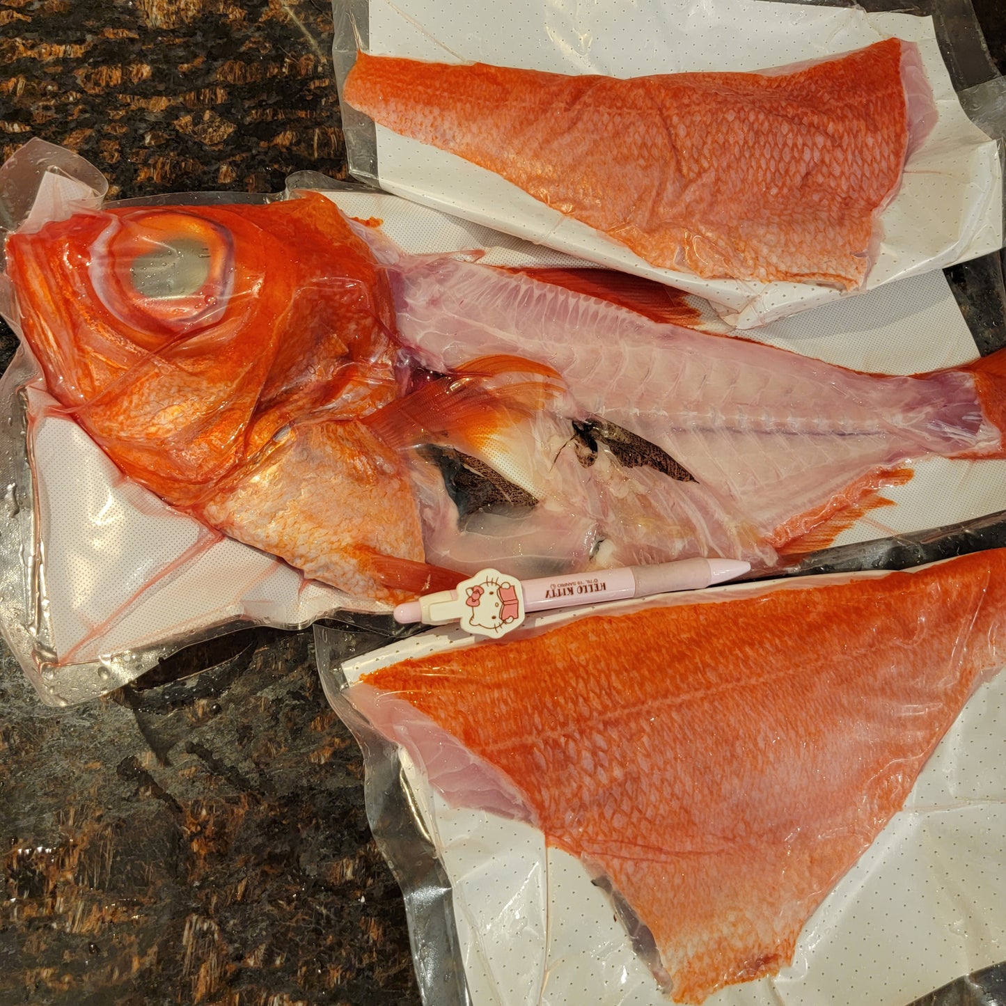 Splendid alfonsino (Kinmedai) 新鮮金目鯛