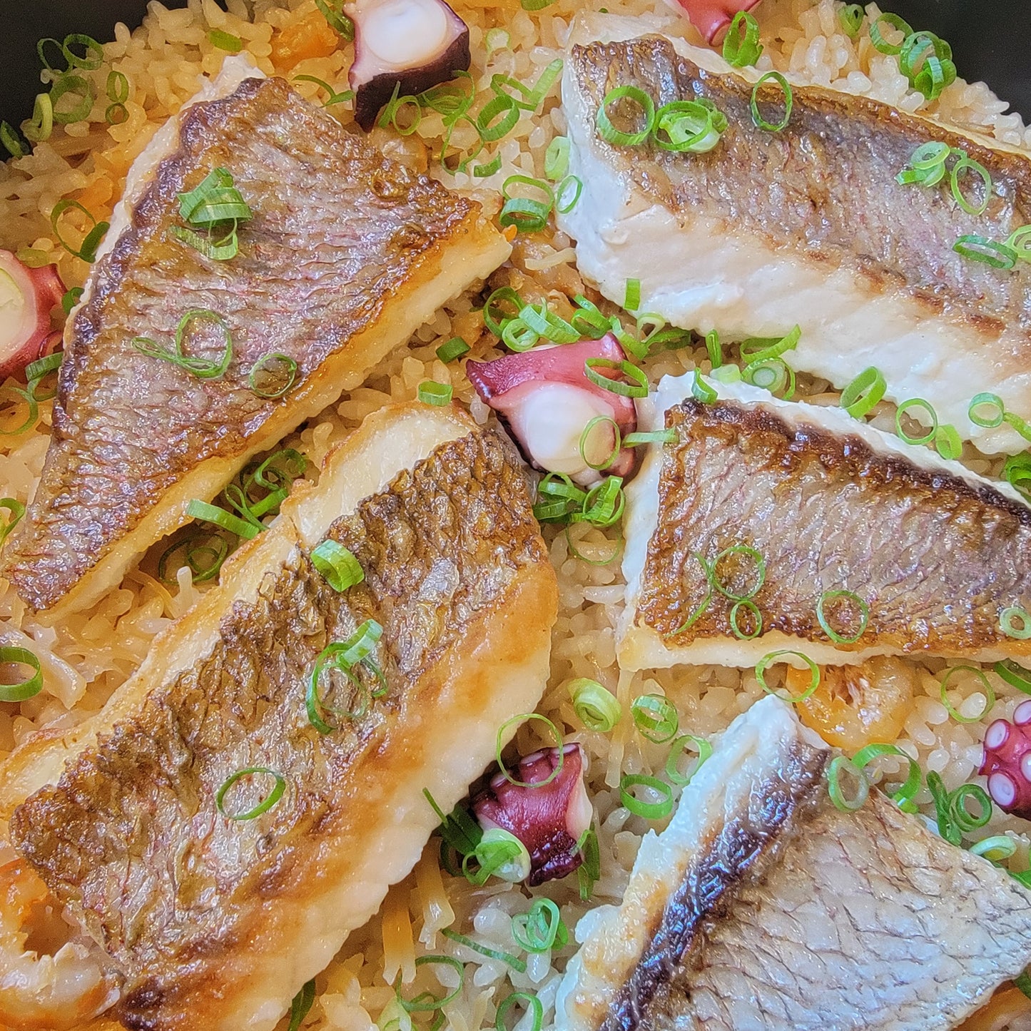 Sea Bream (Madai) 真鯛