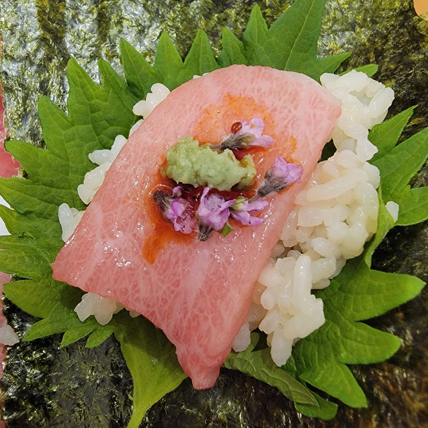 Bluefin Tuna Otoro Chutoro Akami 新鮮藍鰭金槍魚 大腹/中腹/赤身