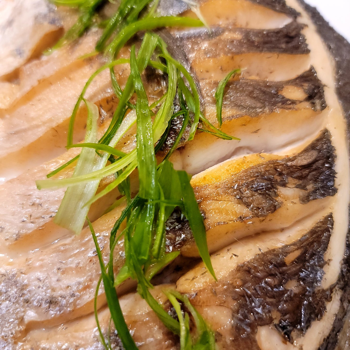 Silver Pomfret (Managatsuo) 日本䱽魚/鯧魚