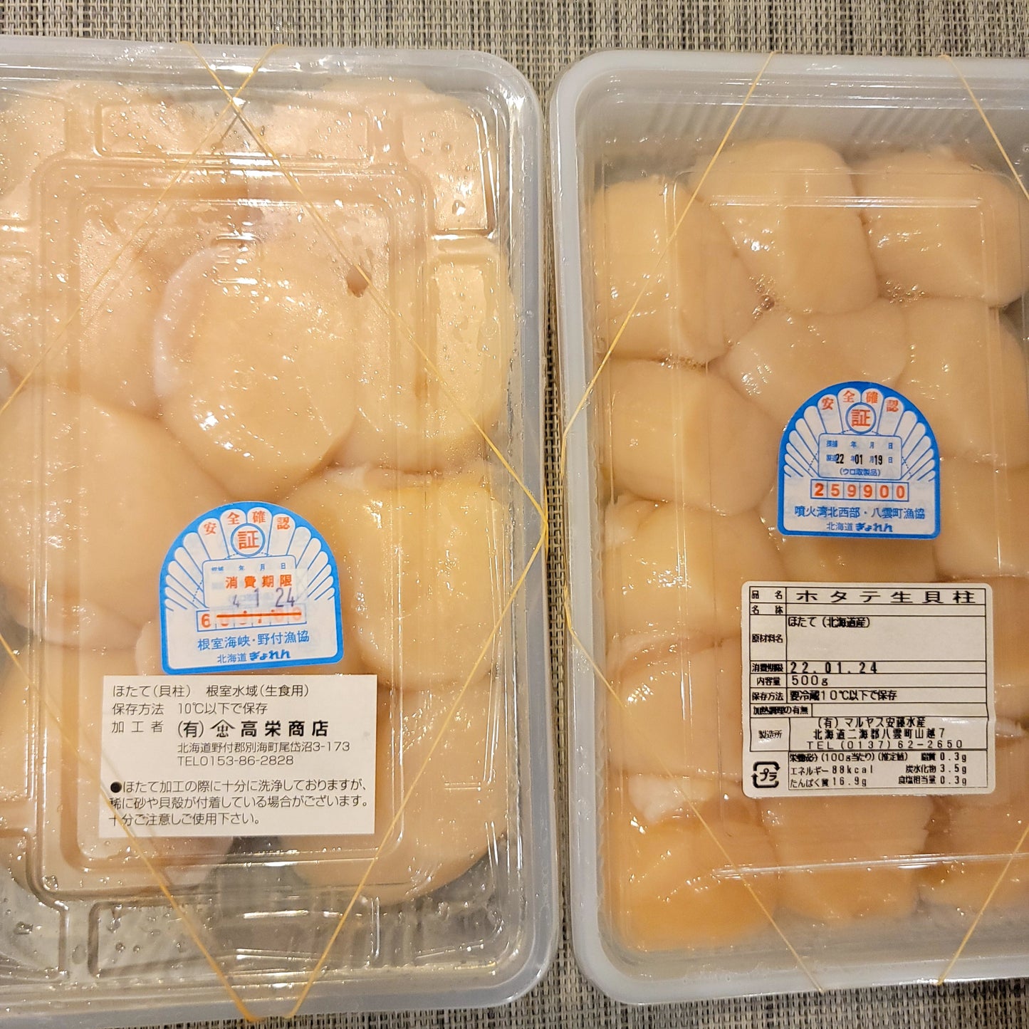 Fresh Hokkaido Scallops 北海道新鮮元貝