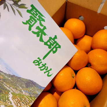 Wakayama Kentaro Mikan 和歌山賢太郎蜜柑
