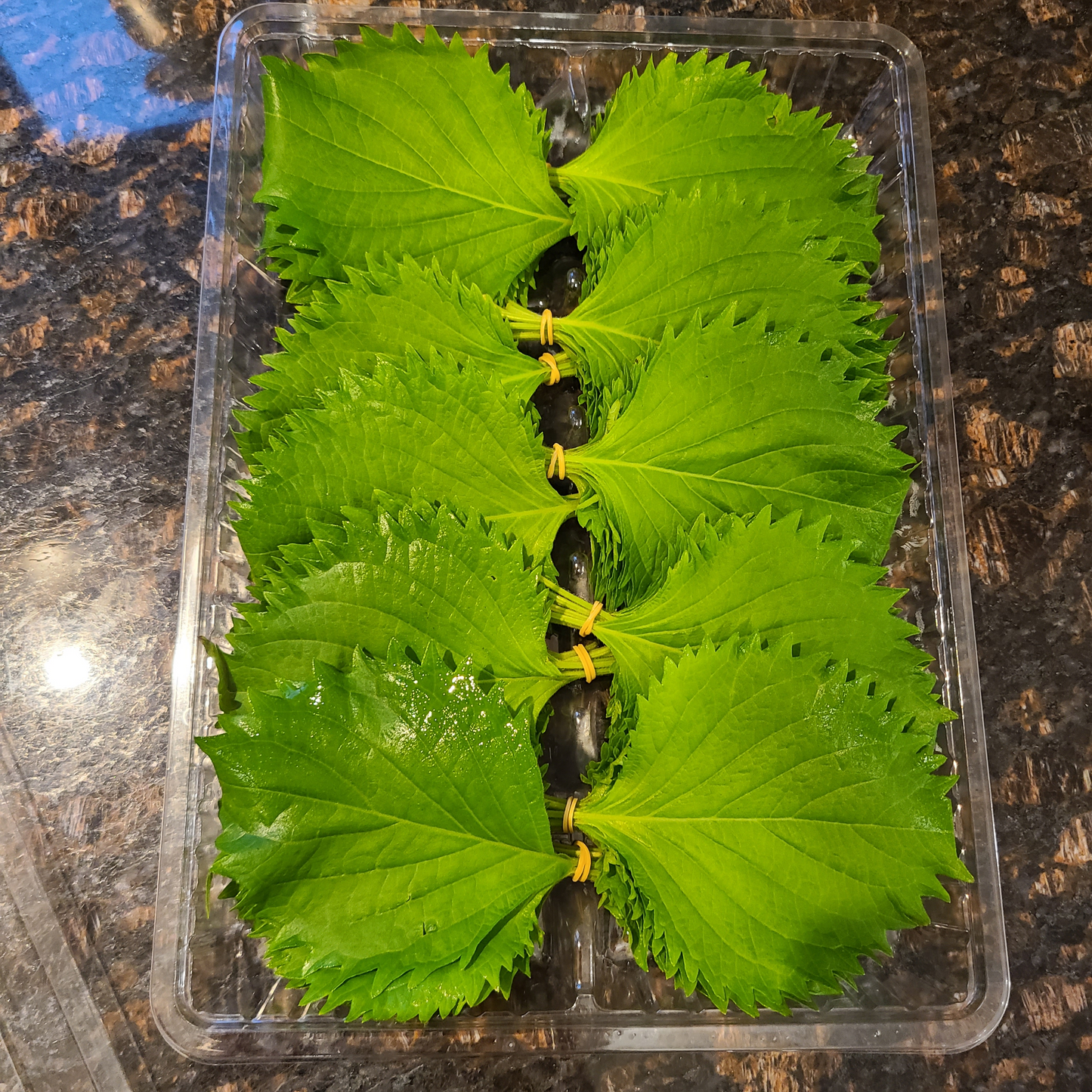 Shiso leaves 新鮮日本大葉(青紫蘇)