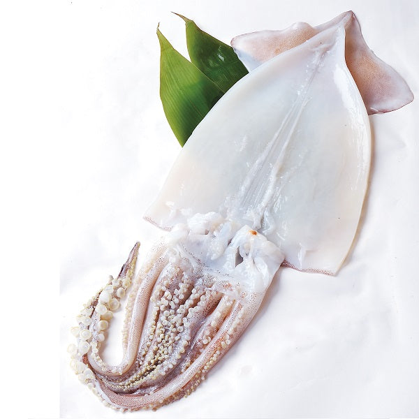 Dried Squid (Ika) 烏賊一夜干
