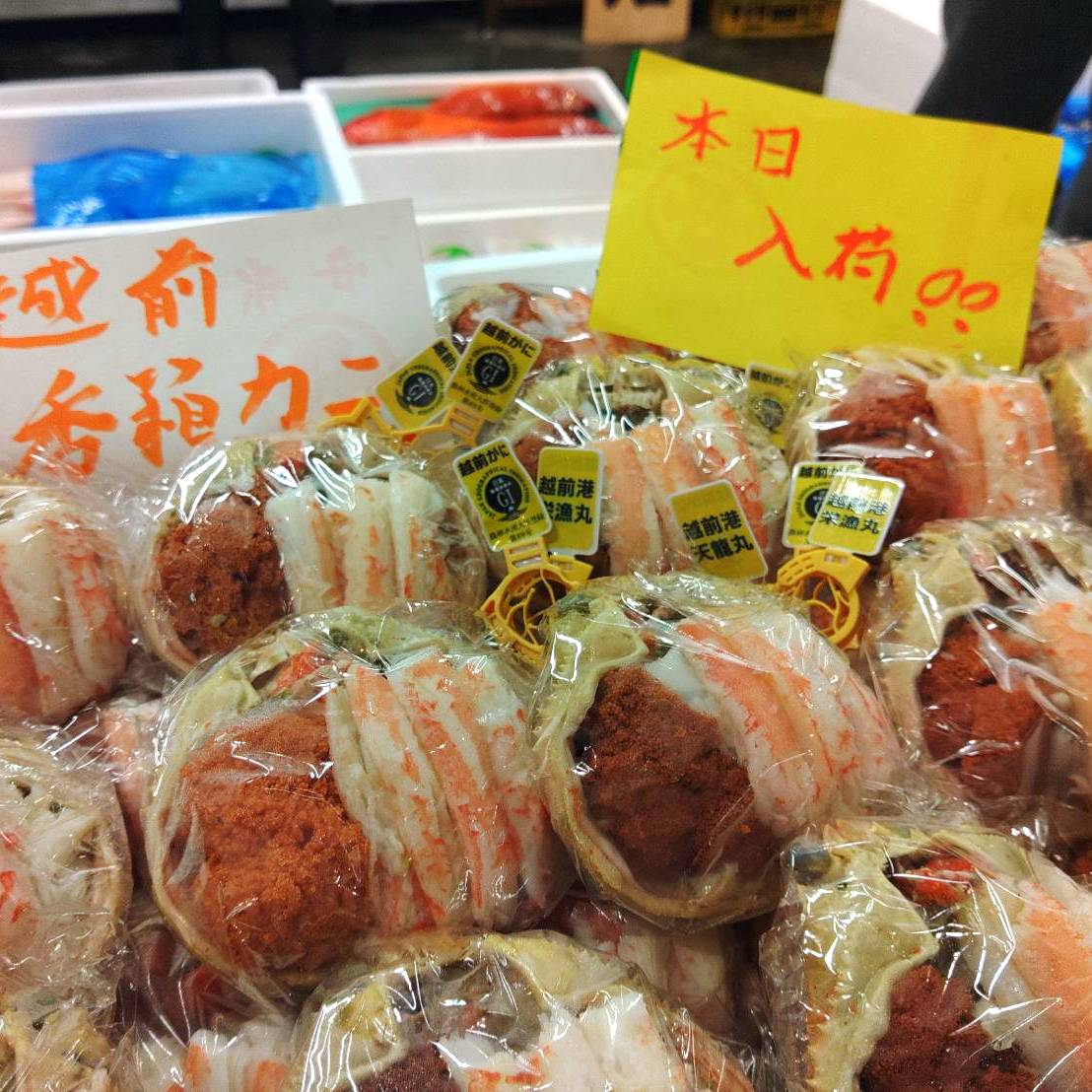 Deshelled Female Snow Crab (Seko gani) 新鮮香箱蟹甲羅盛