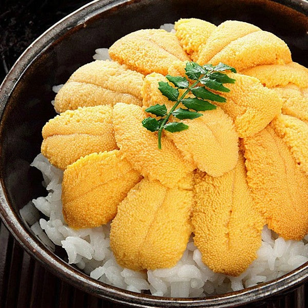 Hokkaido Ensui Murasaki Uni 北海道鹽水紫海膽