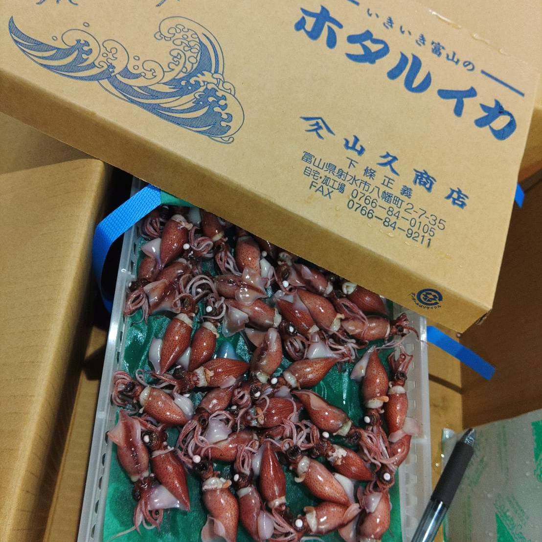 Boiled Firefly Squid (Hotaru ika) 水煮螢火蟲魷魚