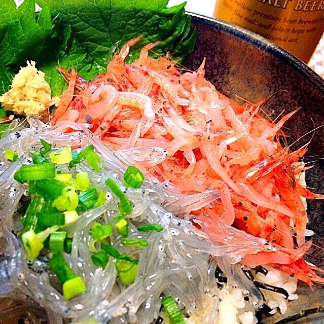 Fresh Sakura Shrimp (Sakura ebi) 新鮮静岡櫻花蝦