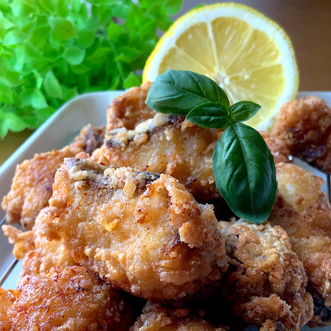 Chicken Grunt (Isaki) 黃雞魚(伊佐木)