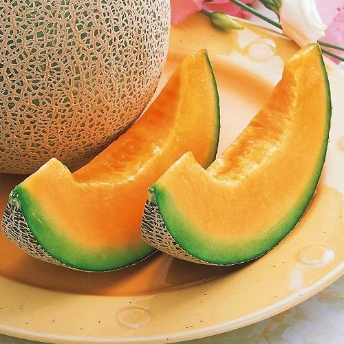 Hokkaido Raiden Melon 北海道雷電蜜瓜