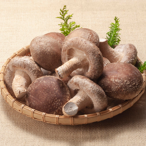 Fresh Shiitake Mushroom 新鮮日本椎茸