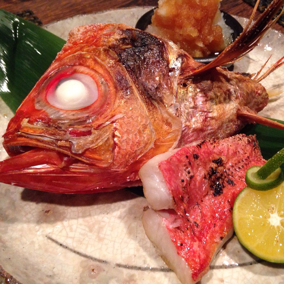 Splendid alfonsino (Kinmedai) 新鮮金目鯛