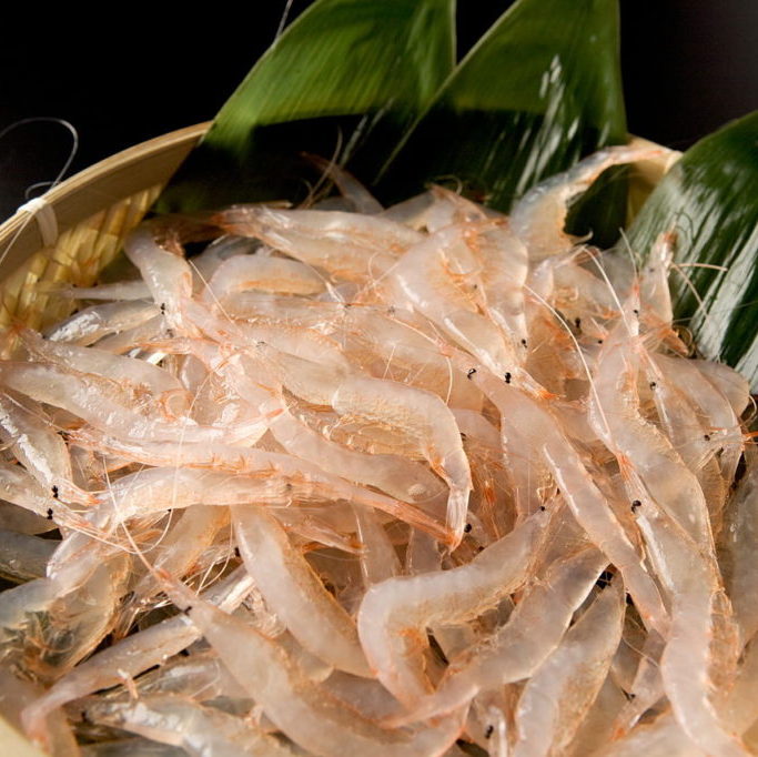 Toyama white shrimp (shiraebi) 富山灣新鮮白蝦