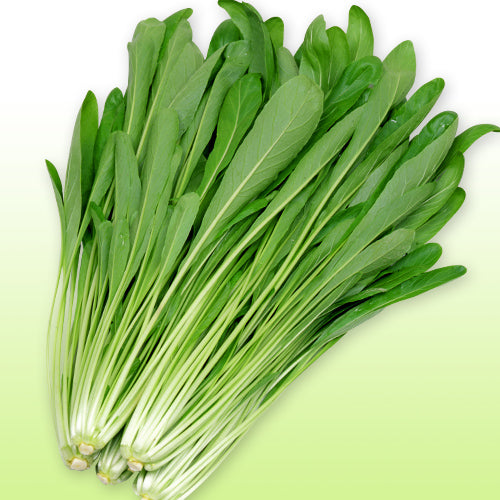 Kyoto Mibuna Mustard Greens 新鮮京都壬生菜