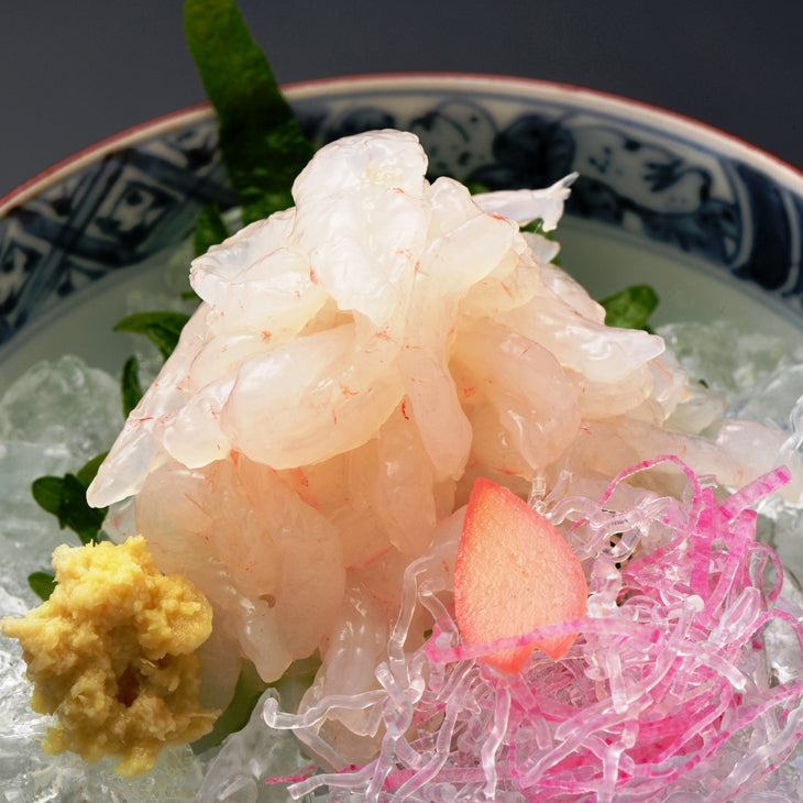 Toyama white shrimp (shiraebi) 富山灣新鮮白蝦