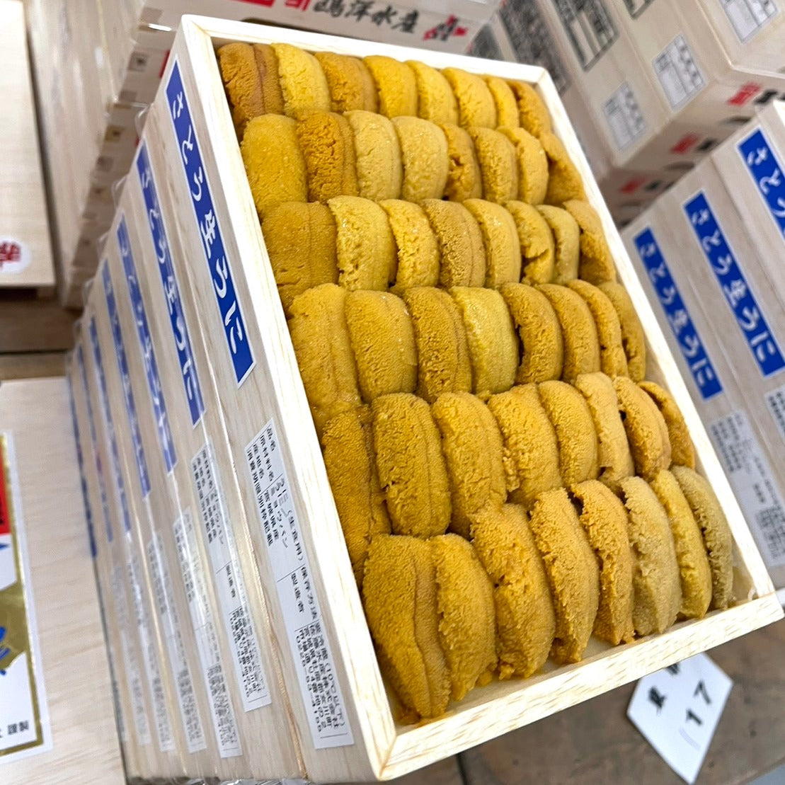 Sanriku murasaki Uni 三陸紫海膽