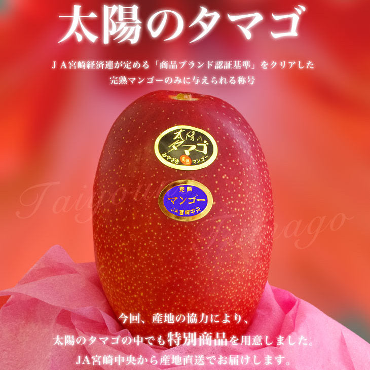 Miyazaki Mango "Egg of the Sun" 宮崎縣產完熟芒果「太陽之子」