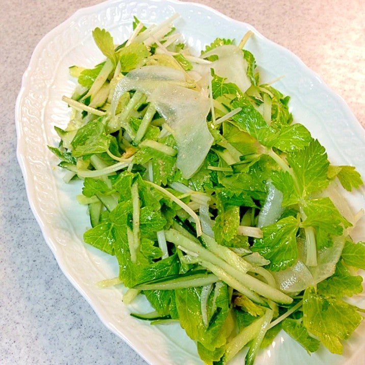 Japanese White Celery 新鮮日本白芹菜