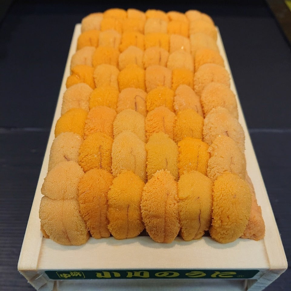 Ogawa Hamanaka Premium Aquacultured Bafun Uni 小川浜中養殖高級馬糞海膽