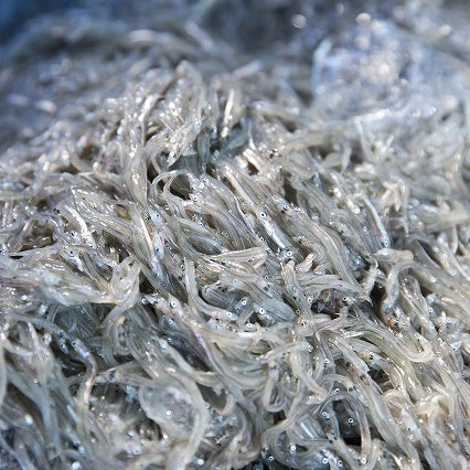 Awaji Island Simmered Sand Lance (ikanago) 淡路島釘煮玉筋魚