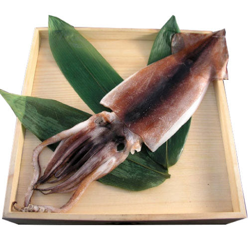 Dried Squid (Ika) 烏賊一夜干